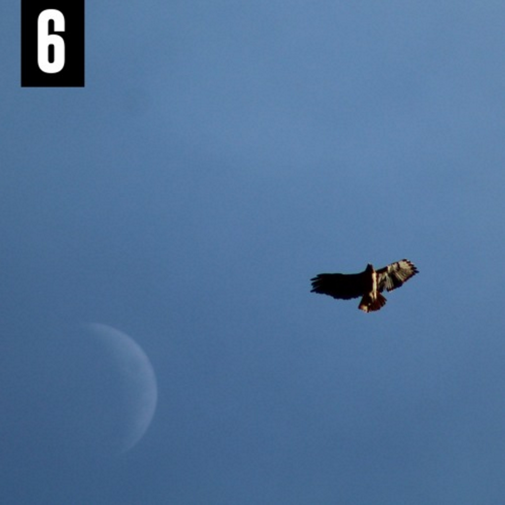 6