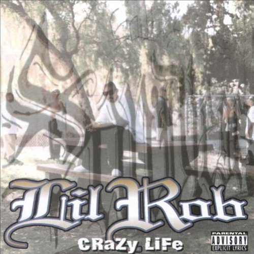 Crazy Life