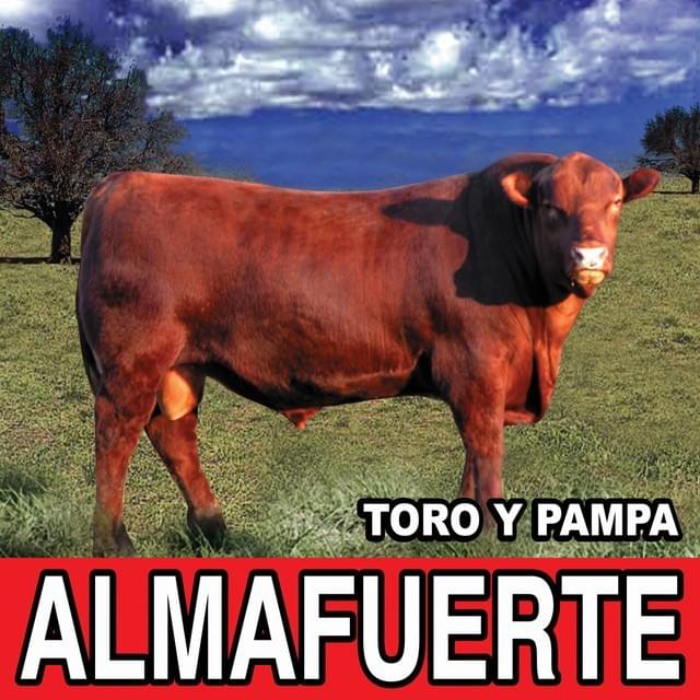 Toro y Pampa