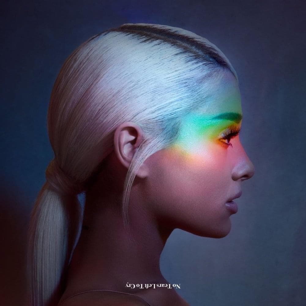 Cover image for no tears left to cry