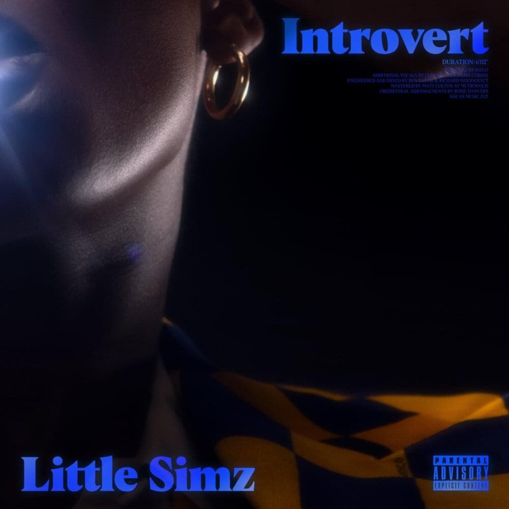 Album cover art for "Introvert" by Little Simz