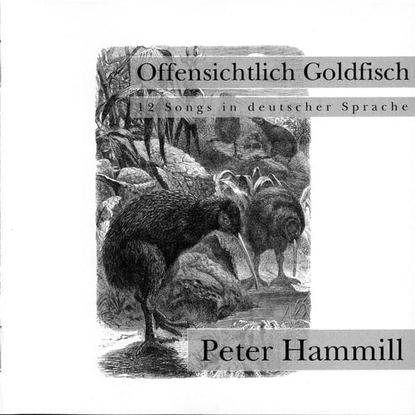 Offensichtlich Goldfisch