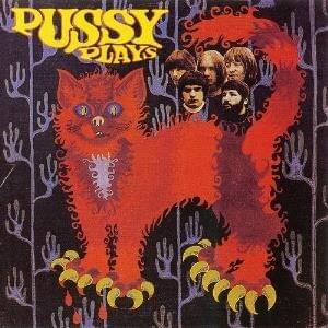 Pussy Plays