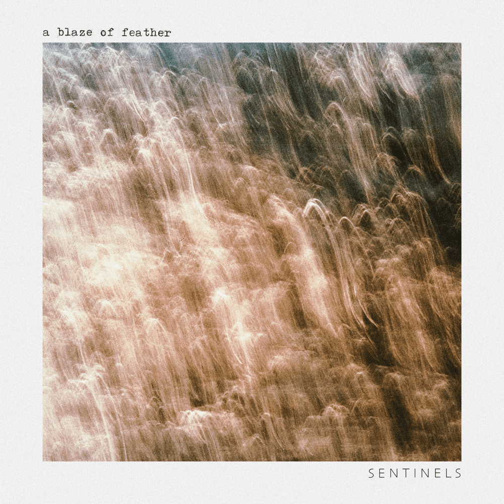 Album cover art for "Sentinels" by A Blaze of Feather