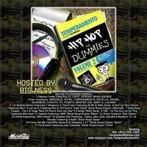 Hip Hop For Dummies Vol.2