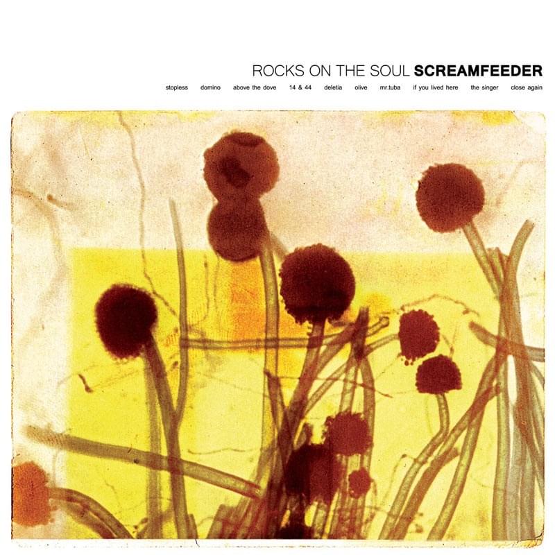 Rocks on the Soul