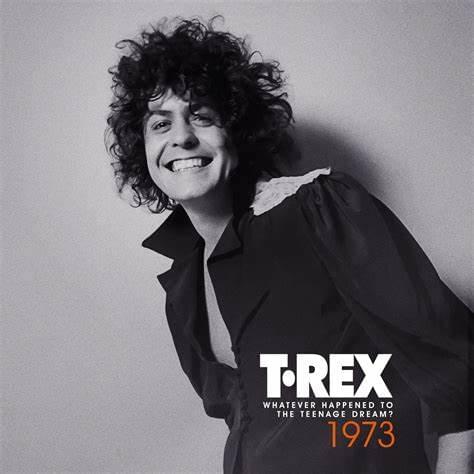 1973 (Whatever Happened To The Teenage Dream?)