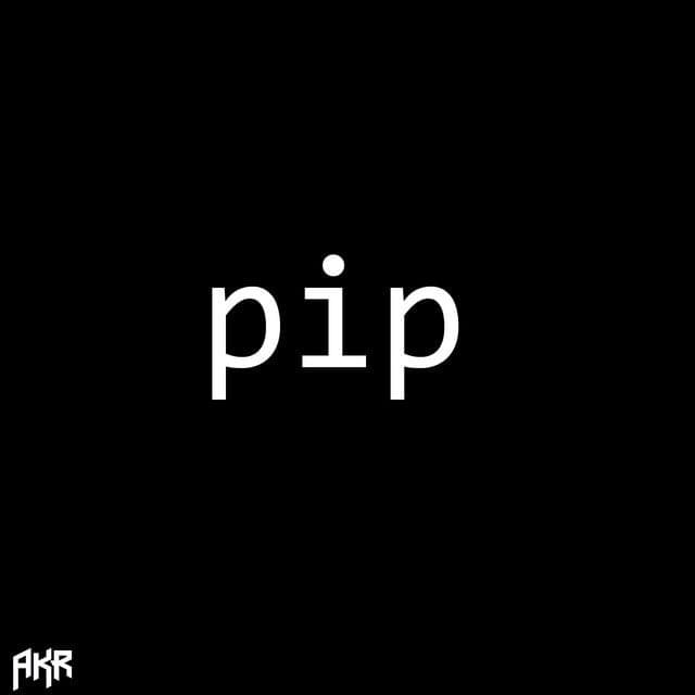 ​pip