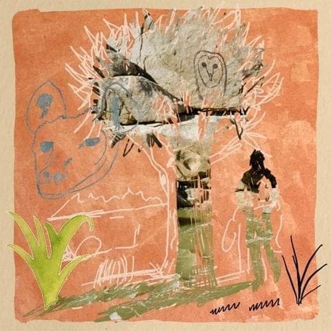 Album cover art for "Hyenas" by M Field