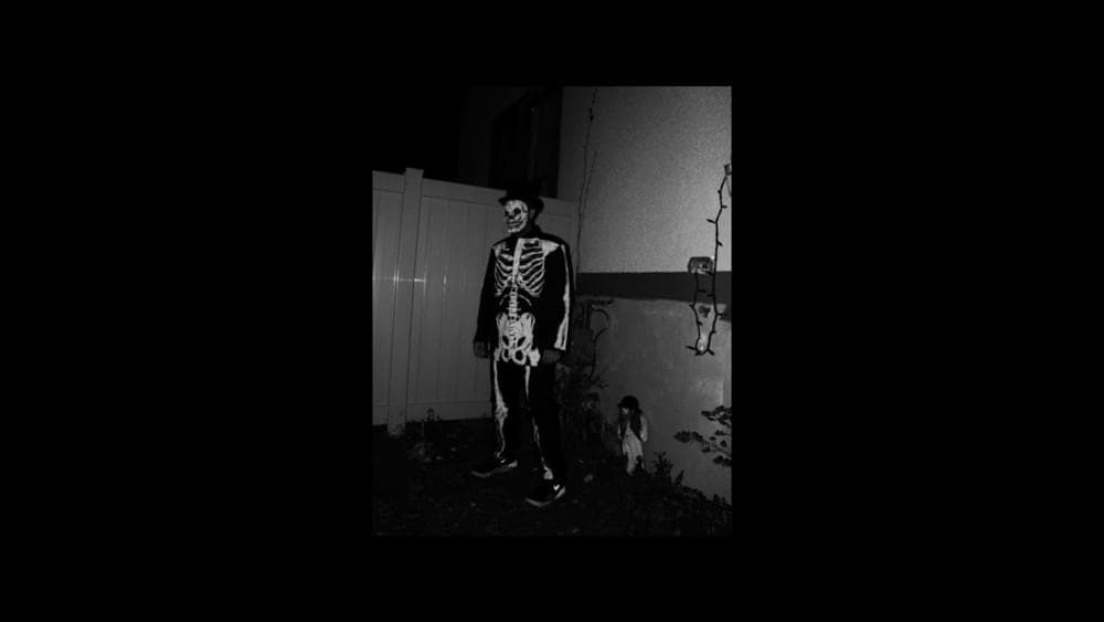 Album cover art for "LOCUSTS." by U-SIF