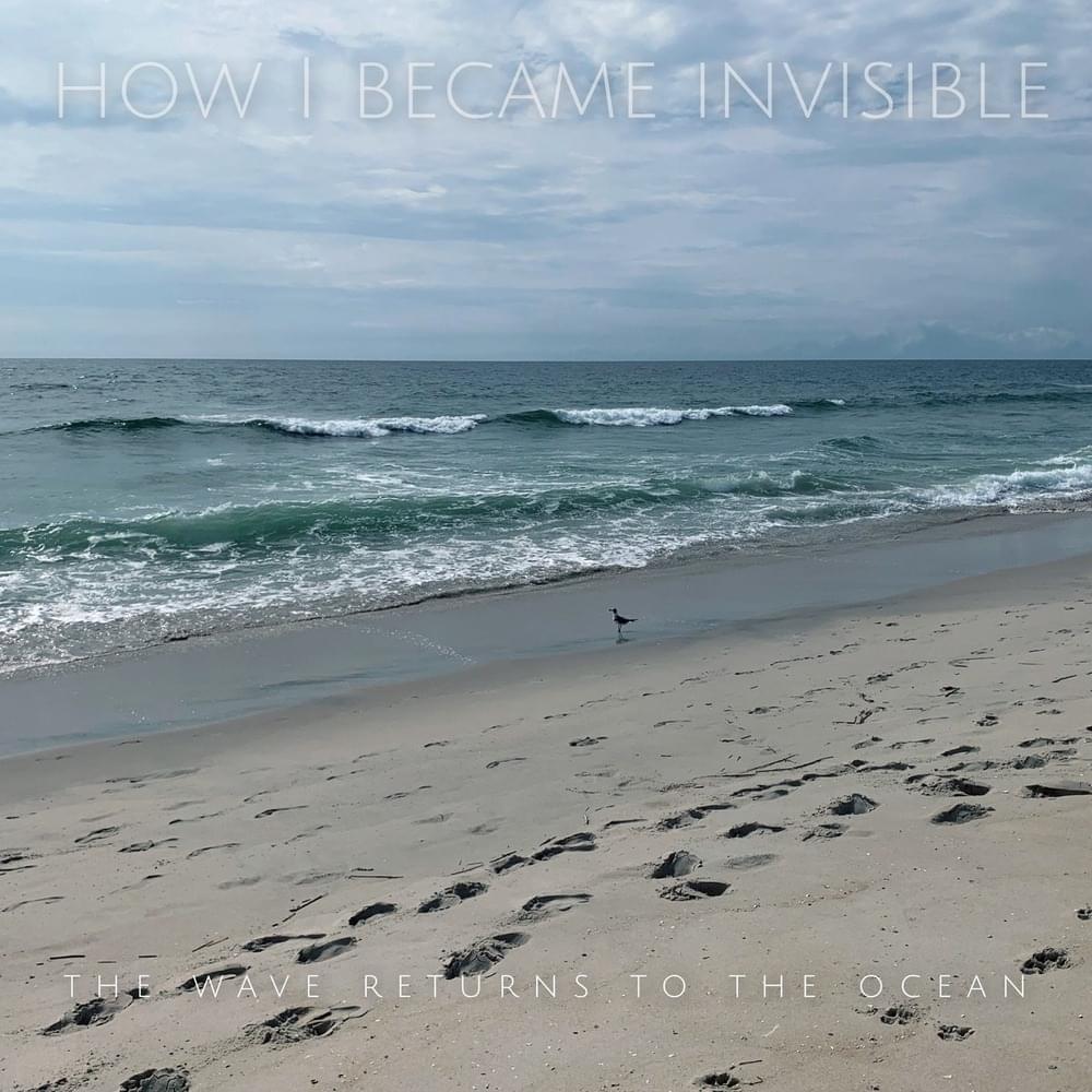 The Wave Returns To The Ocean