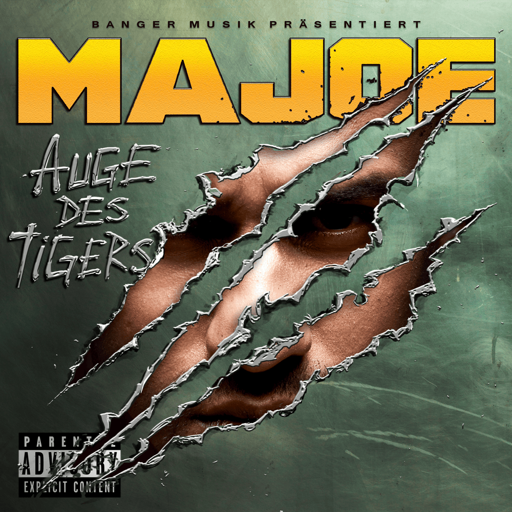 Auge des Tigers