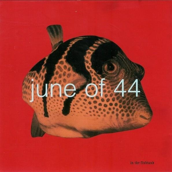 In the Fishtank 6