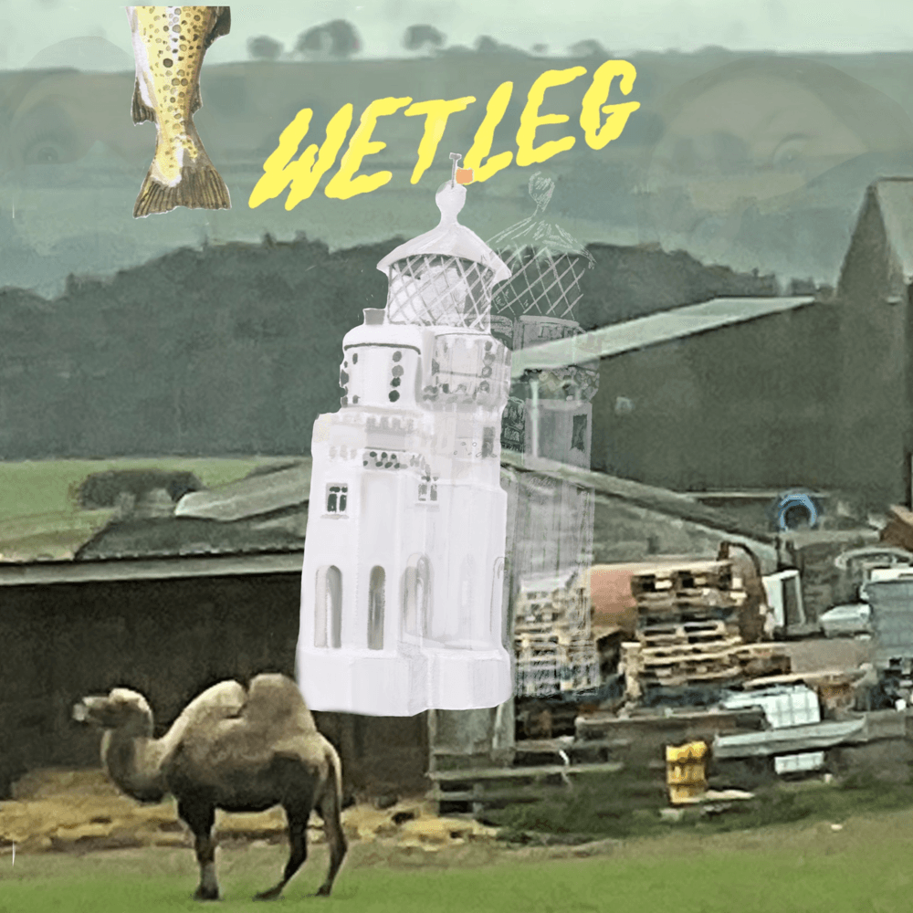 Album cover art for "Angelica" by Wet Leg