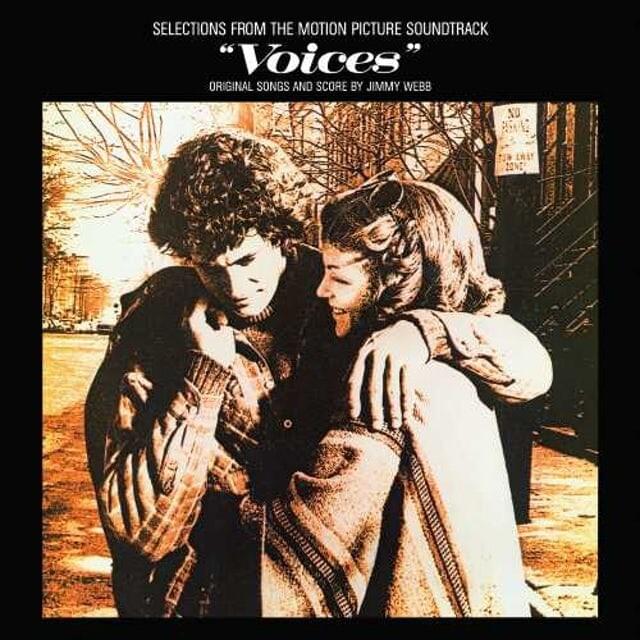 Voices (Selections from the Motion Picture Soundtrack)