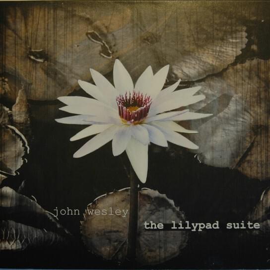 The Lilypad Suite