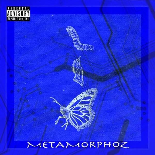 Metamorphoz
