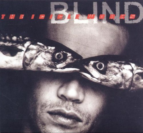Blind