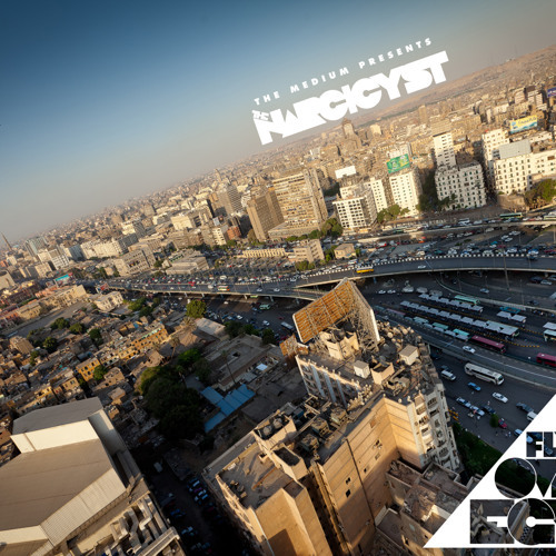 Fly Over Egypt Single