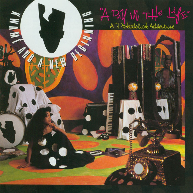 A Day in the Life: A Pokadelic Adventure
