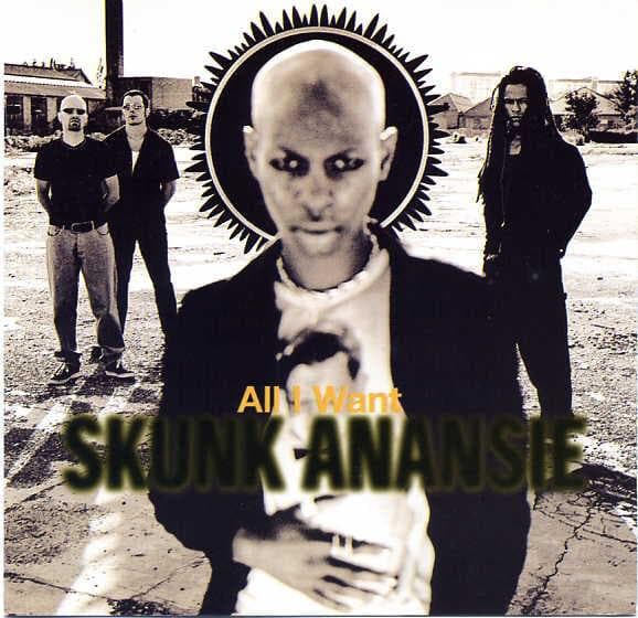 Album cover art for "All I Want" by Skunk Anansie