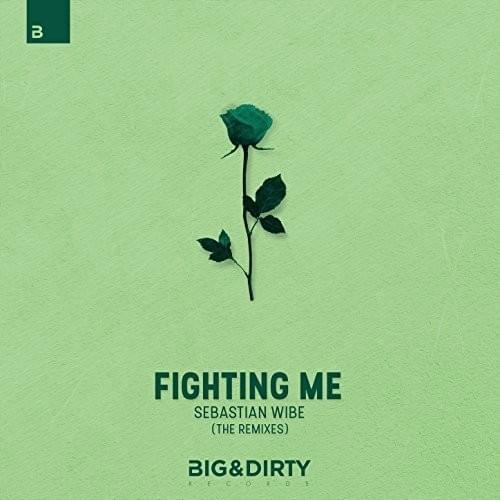 Fighting Me (The Remixes)