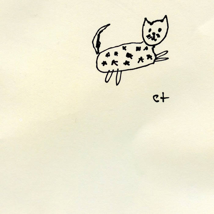 ​starry cat