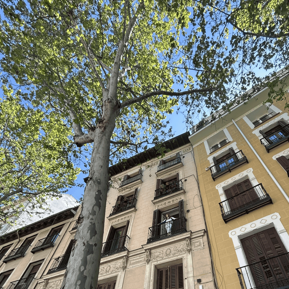 Album cover art for "quiero hacértelo" by H. Rayiz