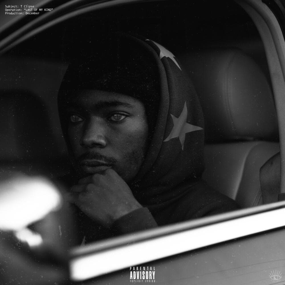 Album cover art for "LAST OF MY KIND" by T Clipse