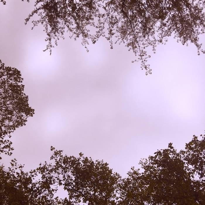 Bloom 2 - Single