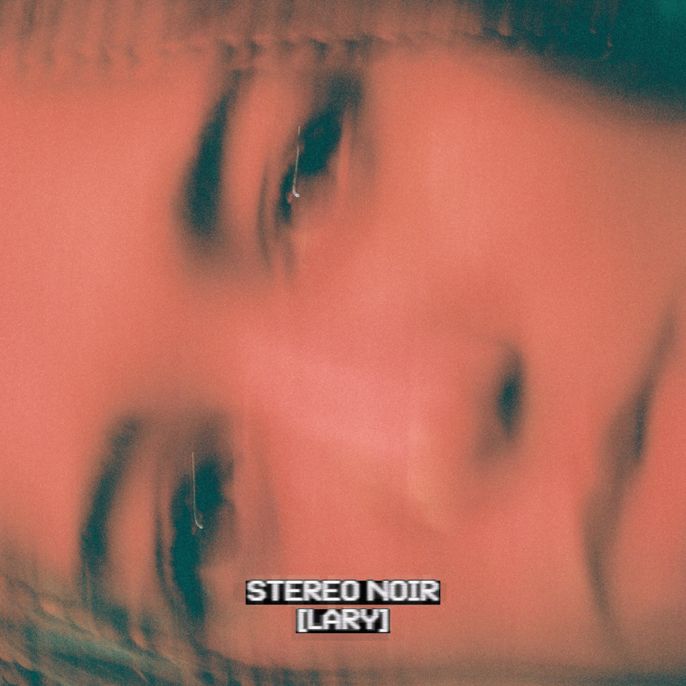STEREO NOIR (CD & Vinyl Version)