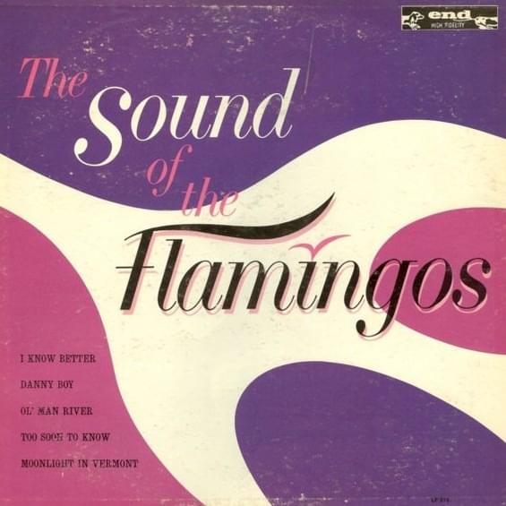 The Sound Of The Flamingos