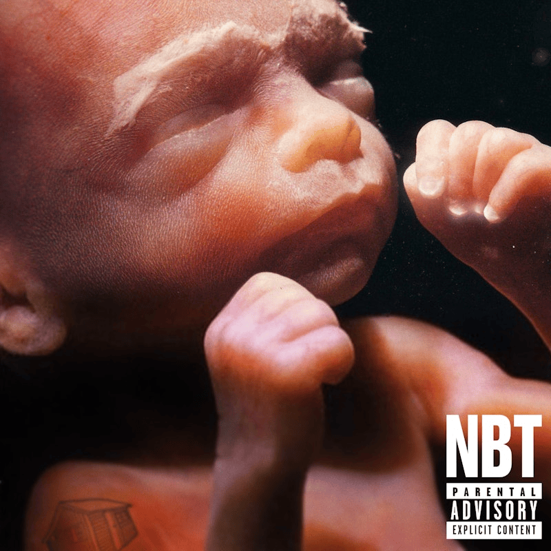 NATURAL BORN THEORISTS