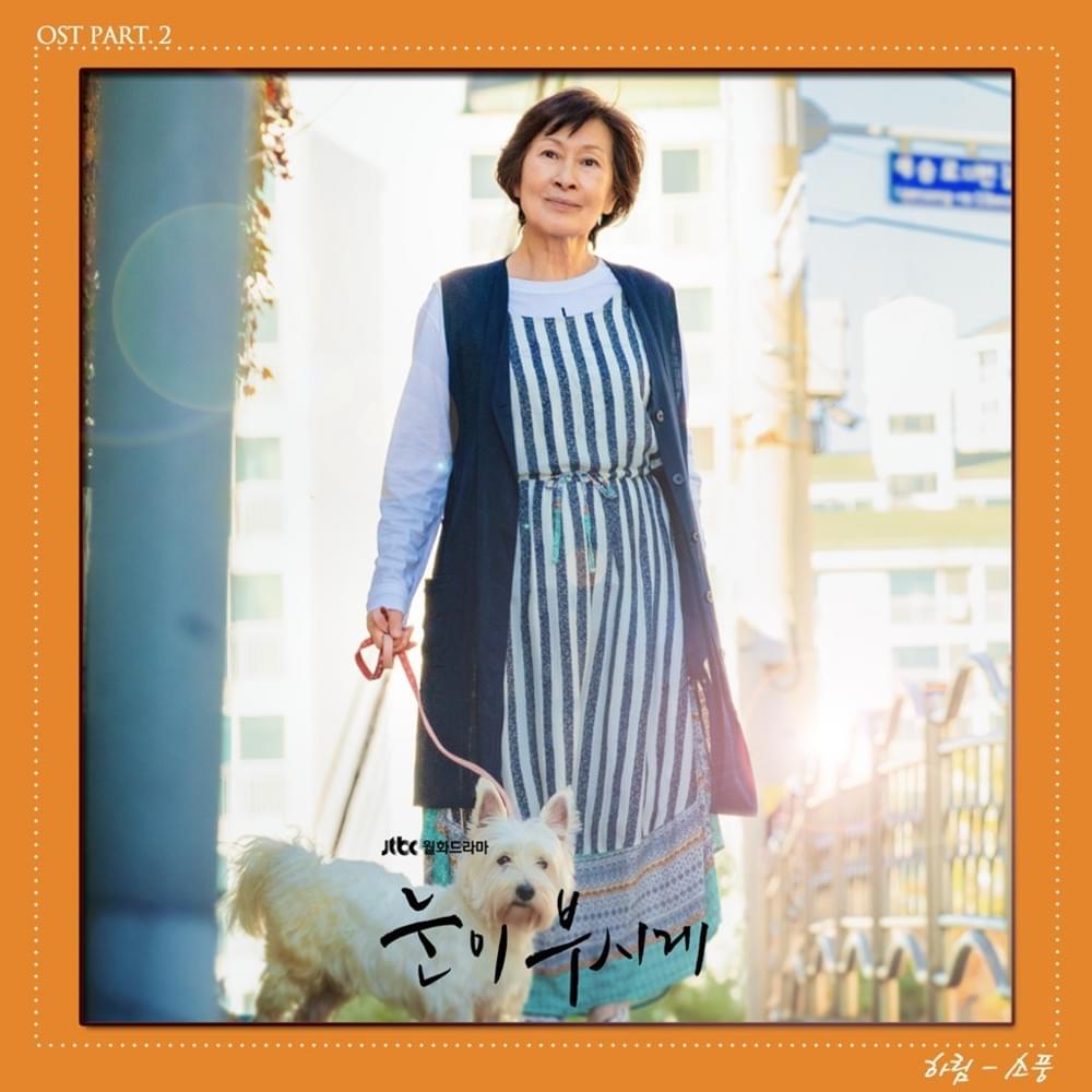 The Light In Your Eyes (Original Television Soundtrack), Pt. 2