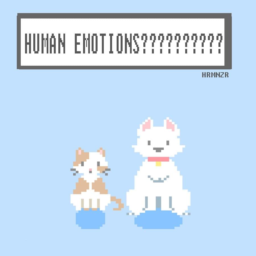 Human Emotions????
