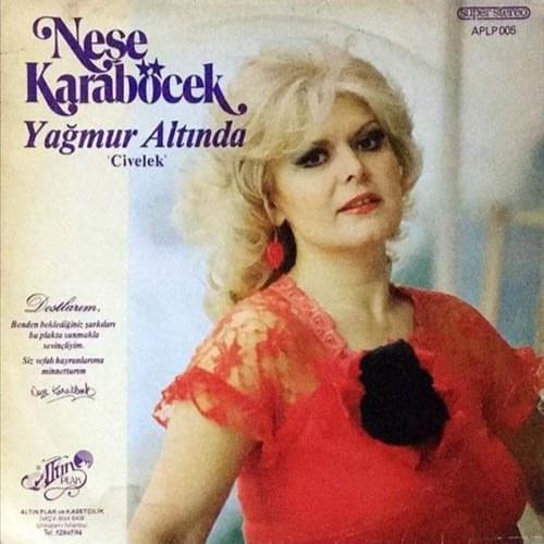 Yağmur Altında (Civelek)