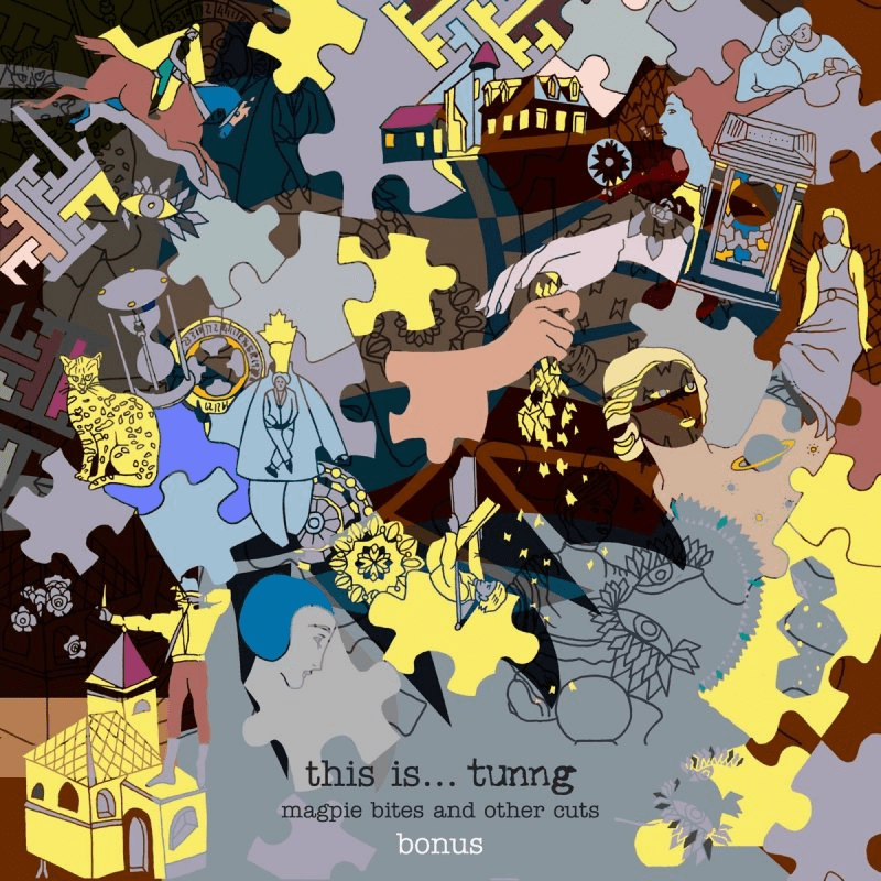 This is Tunng... Magpie Bites and Other Cuts (Bonus Disc)