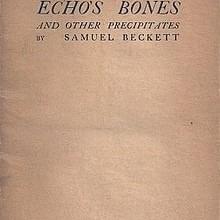 Echo’s Bones and Other Precipitates