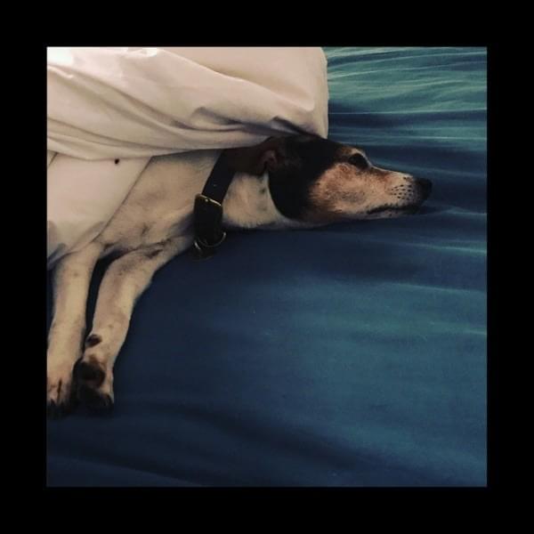 Old Dog New Tricks - EP