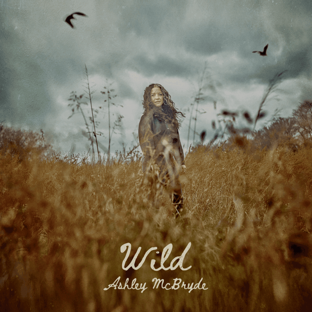 Cover image for Wild