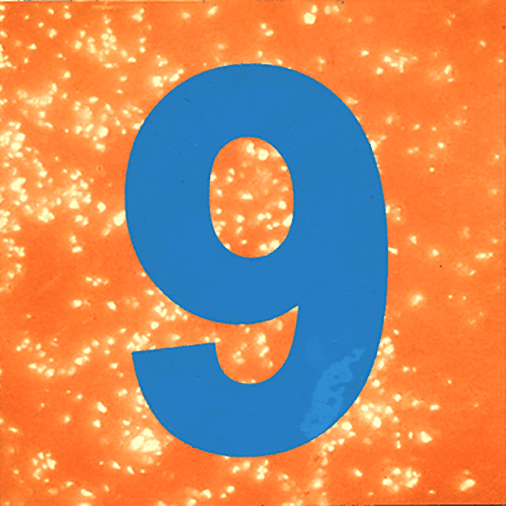 vol. 9 (2004–2007)