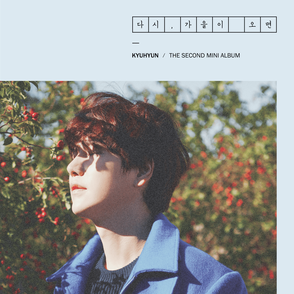 다시, 가을이 오면 (Fall, Once Again) - The 2nd Mini Album