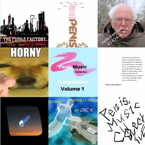 PENIS MUSIC COLLECTIVE COMPILATION VOL. 1