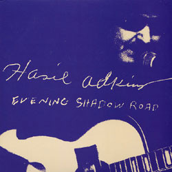 Evening Shadow Road
