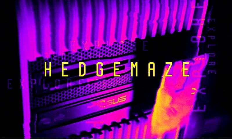Hedgemaze