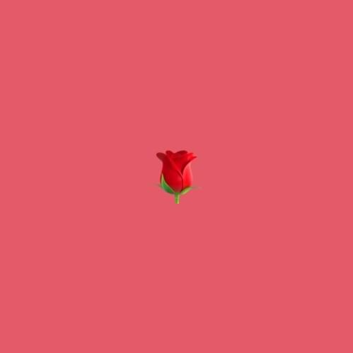 rose 2