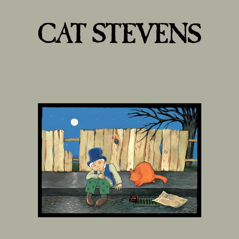 Album cover art for "The Wind" by Cat Stevens