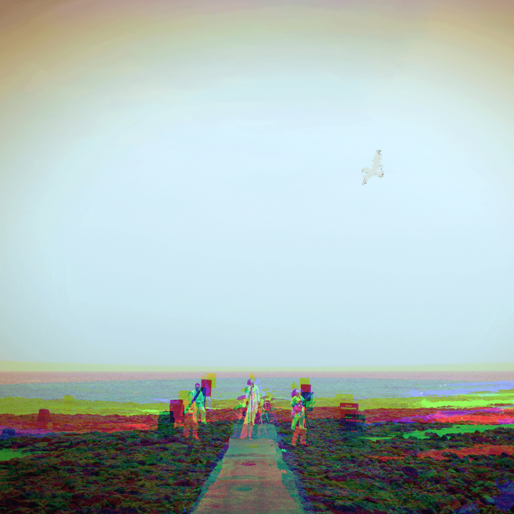 Rise Again