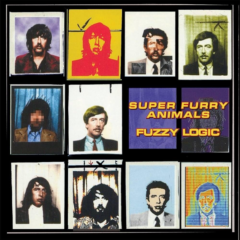 Fuzzy Logic (20th Anniversary Deluxe Edition)