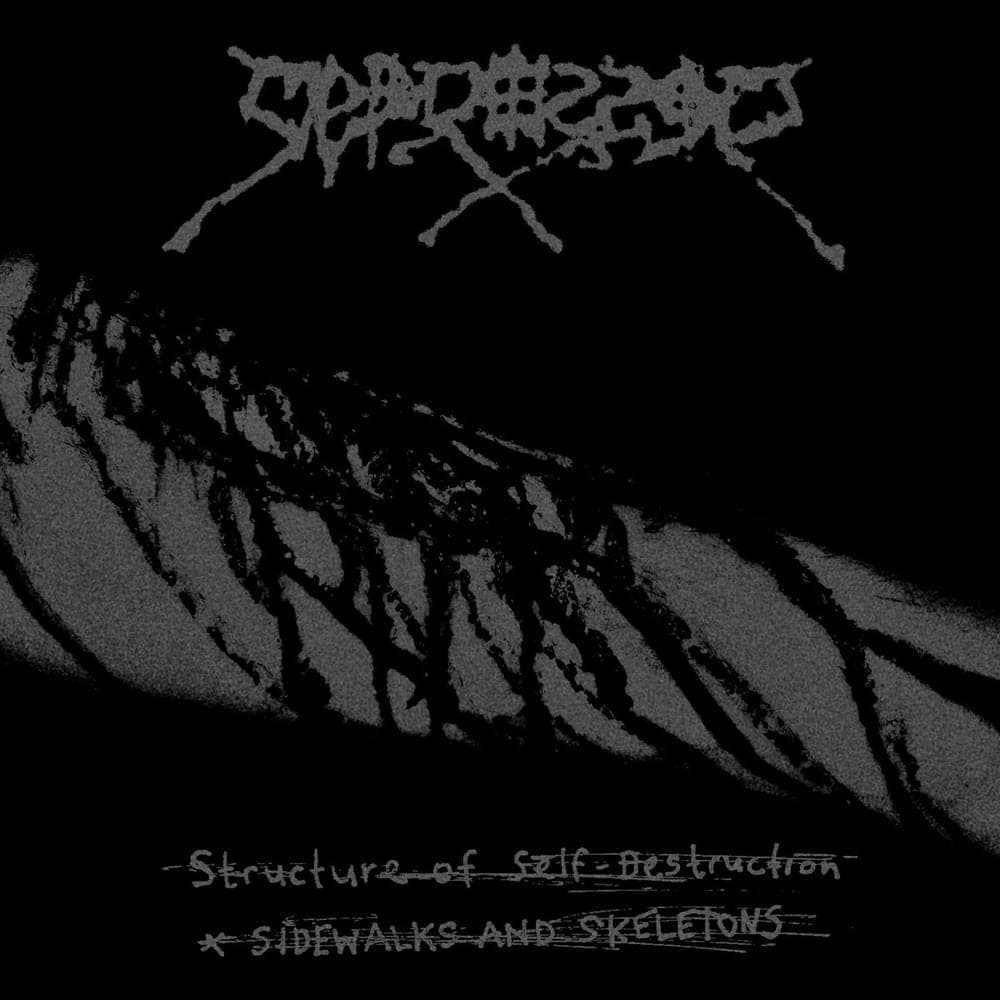 Album cover art for "Structure of Self-Destruction" by D E P R E S S E D 0 4 0 & Sidewalks and Skeletons